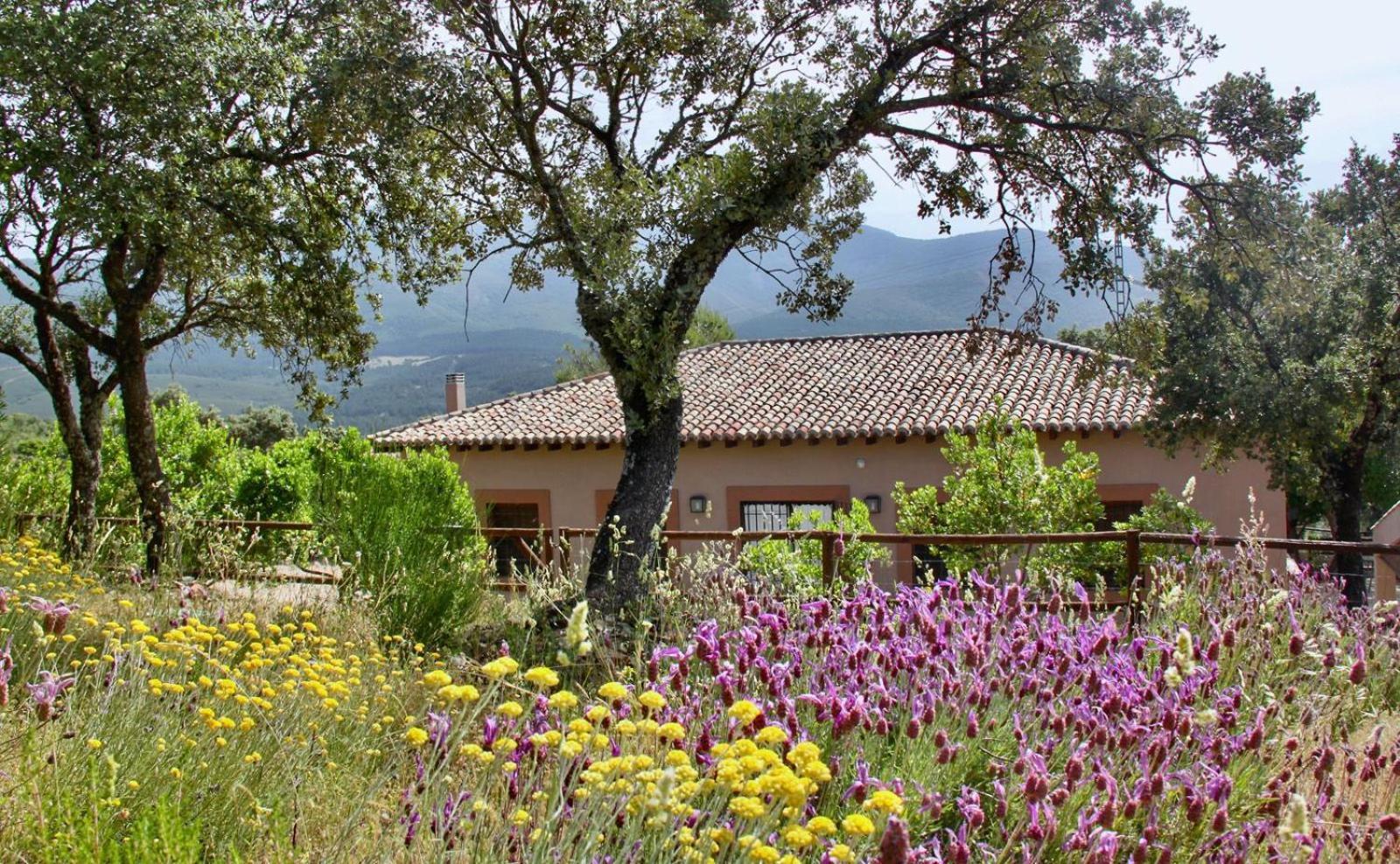 Casa Rural La Joyona Лос-Навалусильос Экстерьер фото